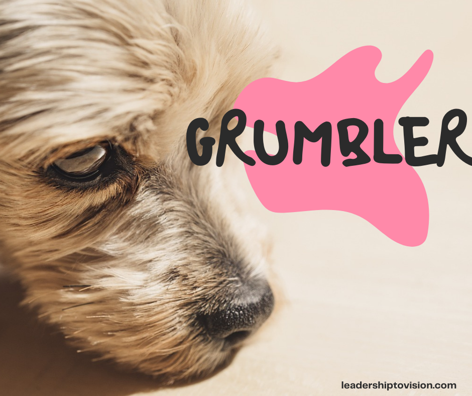 Dog pouting with the Title Grumpler by Tina Mabalot with website labeled as leadershiptovision.com